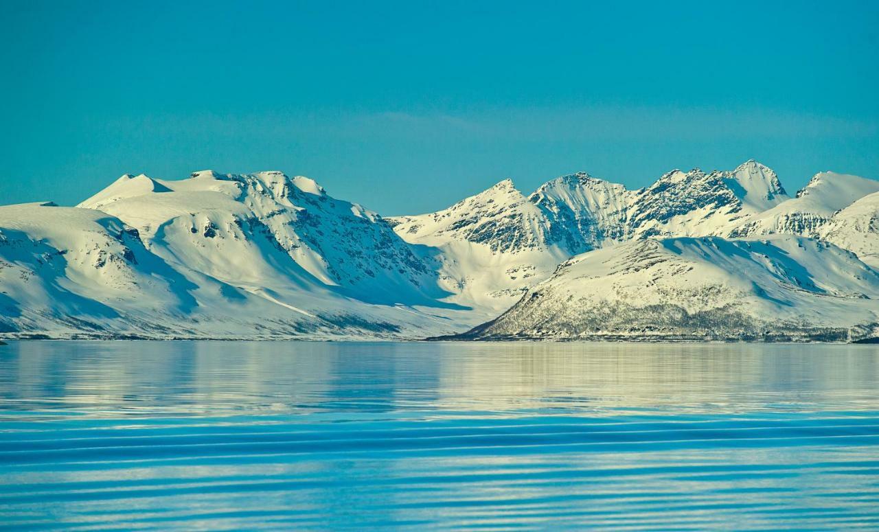 Lyngen Experience Apartments Nord-Lenangen Экстерьер фото