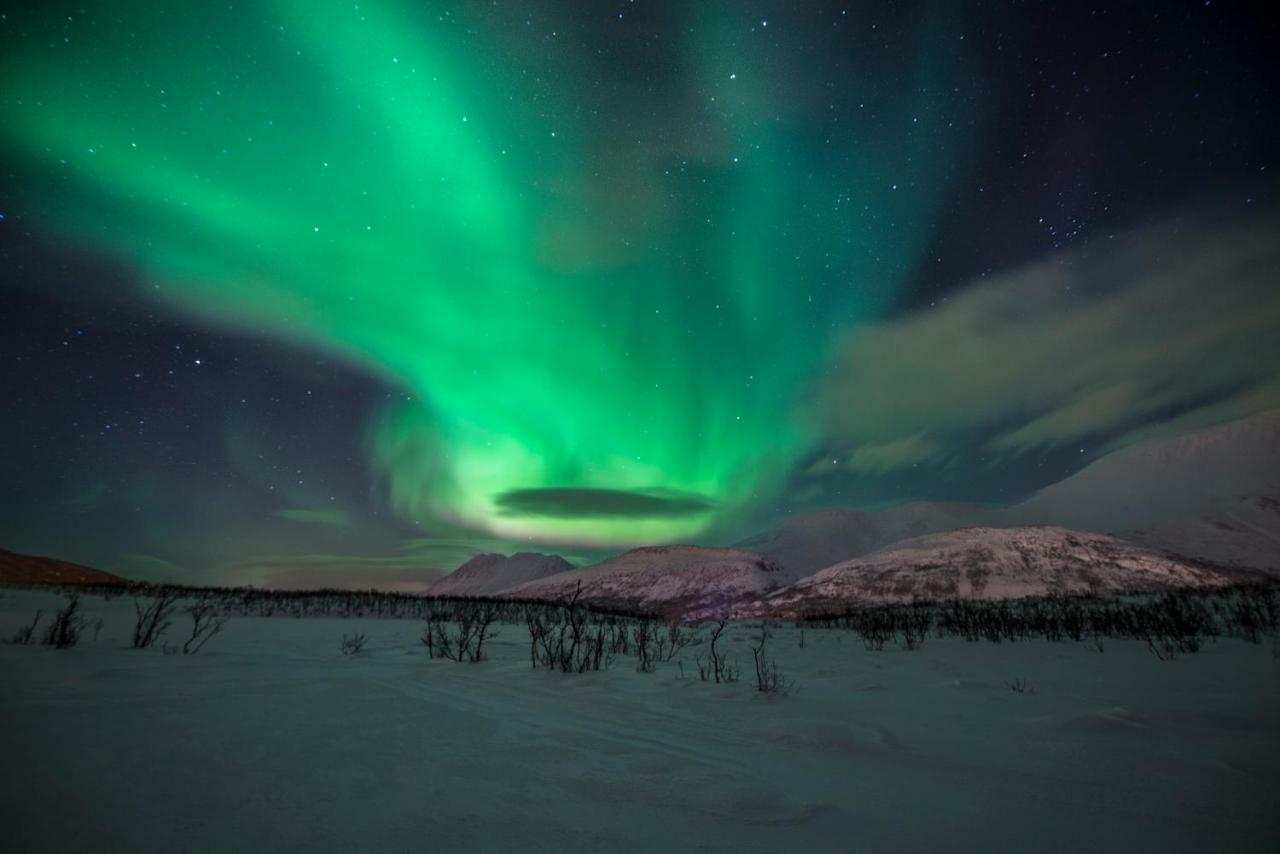 Lyngen Experience Apartments Nord-Lenangen Экстерьер фото